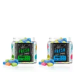 Delta-9 THC Gummies Variety - 2 Pack Bundle