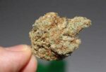 Where to Buy Weed Online Australia Buy Weed Online In Bendigo. One of the most uplifting strains available. It helps manage anxiety, depression.