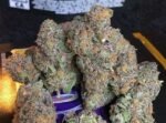 Where To Buy Cannabis Online Cairns Buy Weed Online In Cairns. Its effects are clearly detectable delivering a fusion of cerebral euphoria and relaxation.