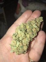 Where to Buy Cannabis Online In Sydney Buy Weed In Sydney. It produces a balanced high, along with effects such as cerebral stimulation and body relaxation.